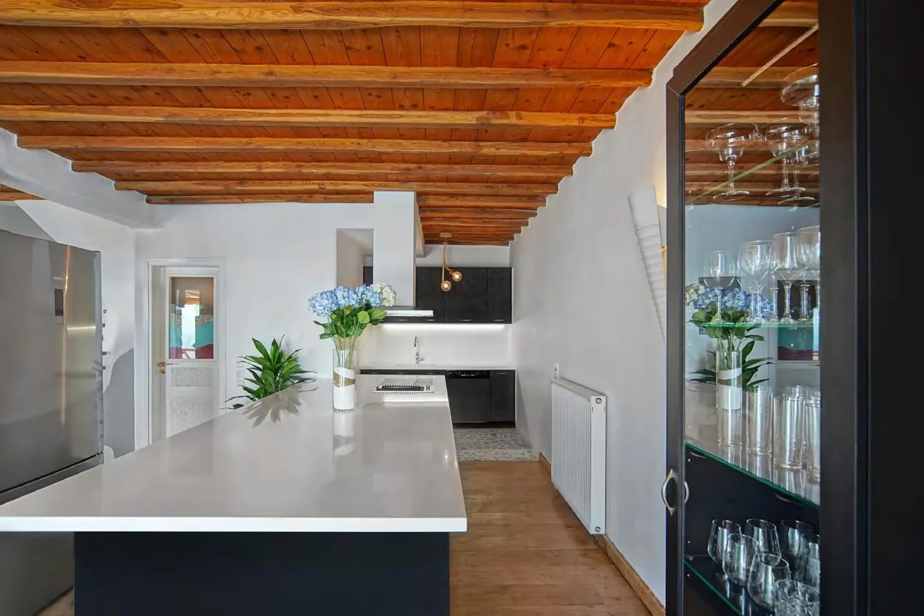 Villa Orizon, luxury villa in Kastro, Mykonos, photo 8