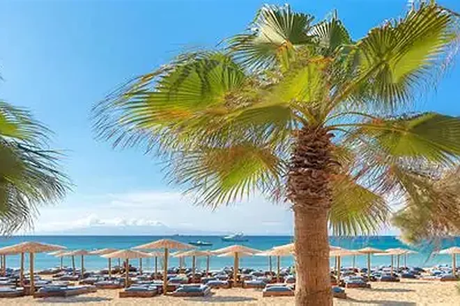 Solymar, Kalo Livadi Beach, Mykonos